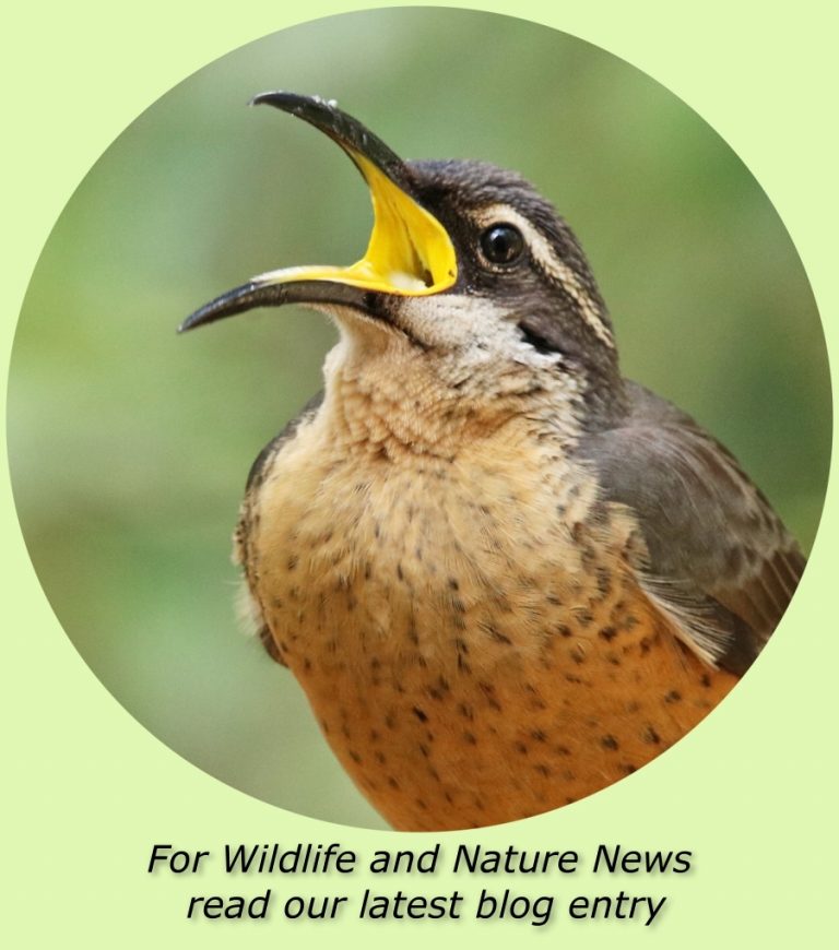 click to see our blog