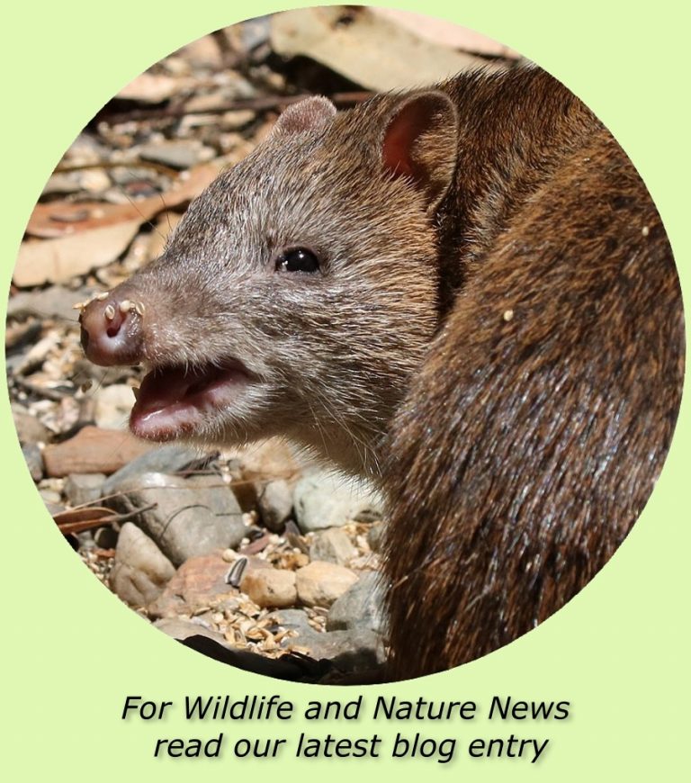 click to see our blog
