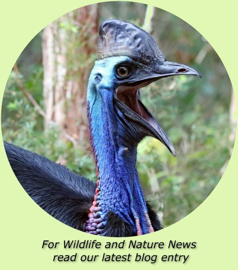 click to see our blog