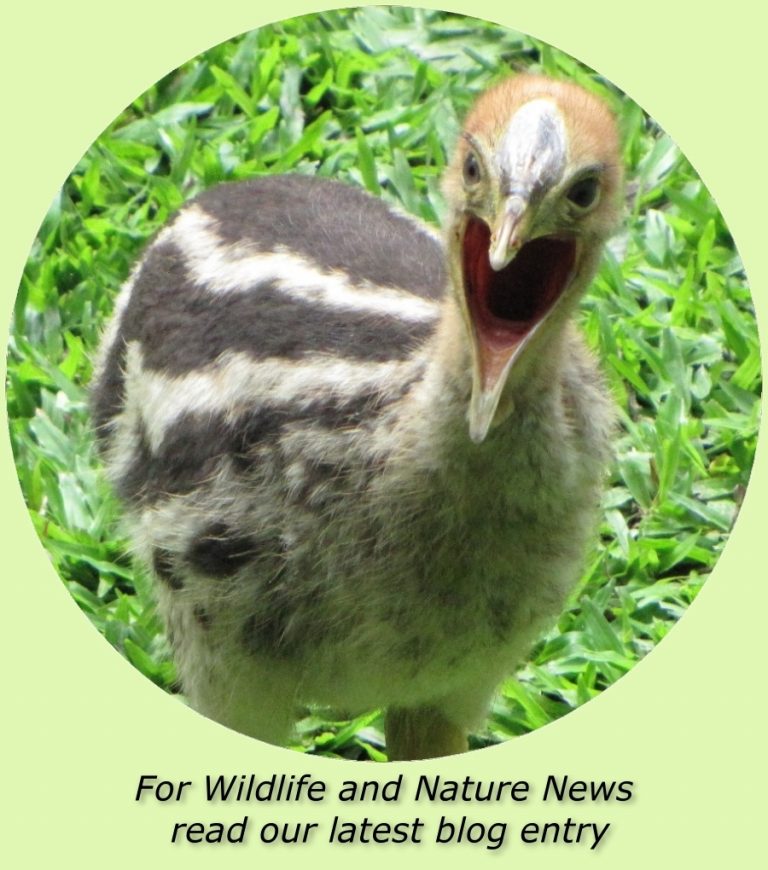 click to see our blog