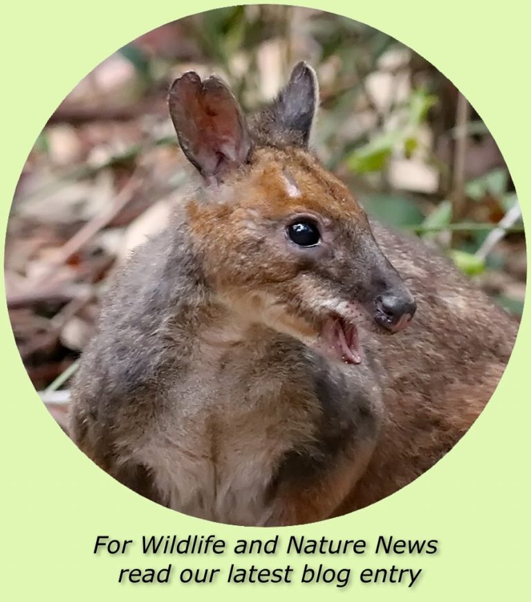 click to see our blog